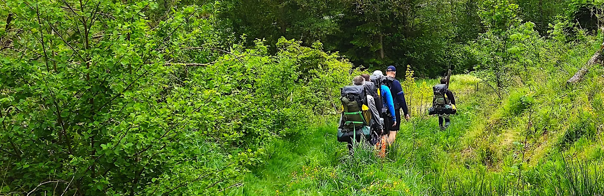 Du suchst nach einem spannenden Ausflugsziel und Outdoor Erlebnis im Harz / möchtest gern Kanu oder Kajak fahren / Dann wäre vielleicht eine Packrafting Tour im Harz das Richtige für Dich...